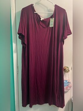 Terra & Sky Plus Size Solid Dress NWT
